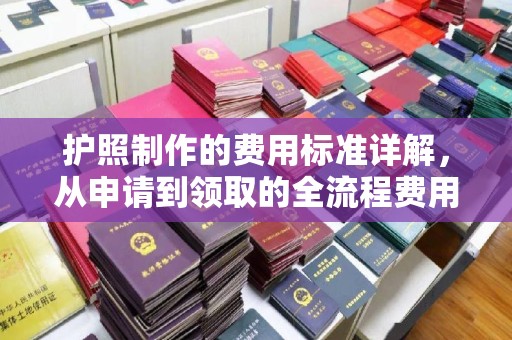 江海护照制作的费用标准详解，从申请到领取的全流程费用指南