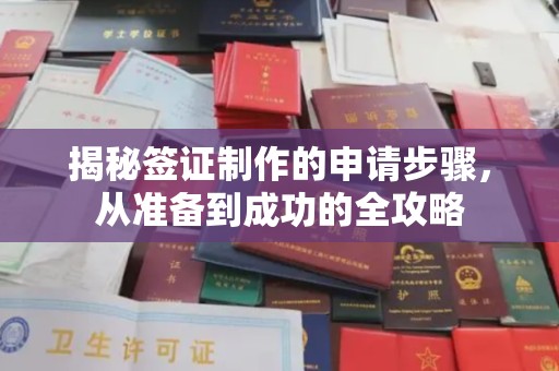 江海揭秘签证制作的申请步骤，从准备到成功的全攻略